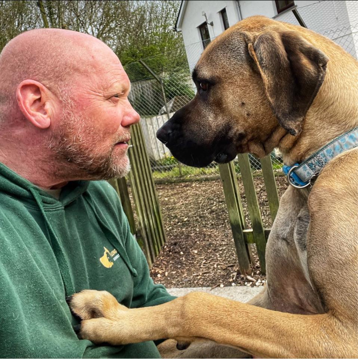 Gary Blake — co-owner of Longford Chase — outside in the kennel grounds with one of the rescue dogs, paw resting on his hand.